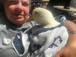 Profile for Lame Duck Farm