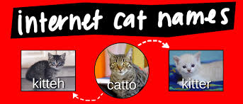 Catto Memes Video Diagram Lucidchart Blog