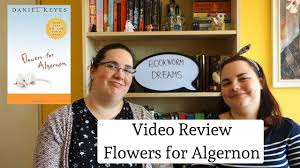 The best study guide to flowers for algernon on the planet, from the creators of sparknotes. Flowers For Algernon Review Youtube