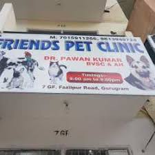 If your dog is still young then the blood work is not needed. Friends Pet Clinic Fazilpur Veterinary Clinics In Gurgaon Delhi Justdial