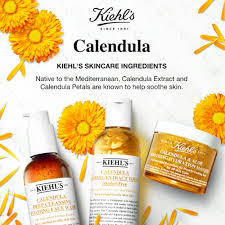 It must a perfect combination. Kiehls Kiehl S Calendula Deep Cleansing Foaming Face Wash 30ml Trial Size