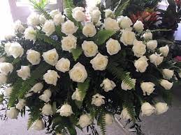 Check spelling or type a new query. All White Roses Funeral Blanket By Floral Creations