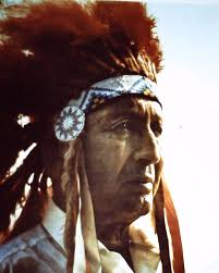 P arch Creek News P arch Creek News