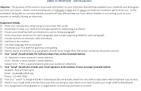 It is very important to have a firm grasp of the english language when you compose an email to your professor. Email To Professor Self Introduction Objective The Chegg Com