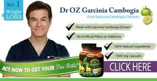 Find Diet Pills That Truly Work Recommended And Featured On Dr Oz Show Garcinia Cambogia Cambogia Garcinia