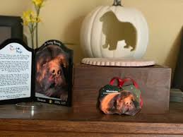 I see this question occasionally and i myself struggled a bit with it. The Day The Ashes Came Home My Brown Newfies