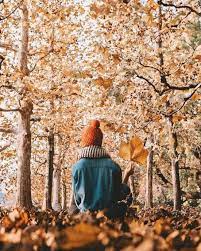 15 Fall Photoshoot Ideas To Get Some Serious Inspo Society19 Fall Photoshoot Autumn Photography Fall Pictures