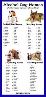French bulldog information, how long do they live, height and weight, do they shed, personality traits, how much do they cost, common health issues. 200 Food Names For Dogs And Alcohol Dog Names With Meanings 2020