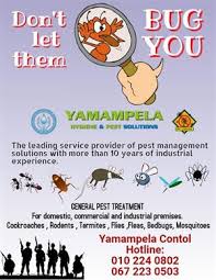 They kill bed bugs and dust mites within 72 hours and will prevent bed bugs from infesting mattresses. Other Pest Control Services In Gauteng Junk Mail