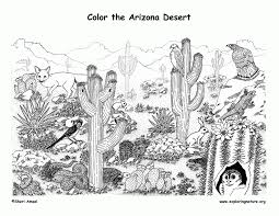 Stenocactus multicostatus or brain cactus. Desert Coloring Page Coloring Home