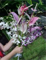 Hawaiian wedding flowers & leis. Hawaiian Tropical Wedding Flowers Leis Bouquets Corsages Orchid And Tuberose Blossoms Haku Orchid Plant Centerpieces Tuberose From Hawaiianmagic Net