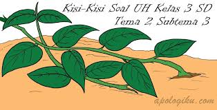 Soal pat (ukk) muatan pelajaran ipa ini gabungan dari tema 6, tema 7, tema 8 dan tema 9 kelas 5 sd/mi kurikulum 2013. Kisi Kisi Soal Ulangan Harian Tematik Kelas 3 Tema 2 Subtema 3 Kurikulum 2013 Contoh Rpp Sd Dan Soal Sd