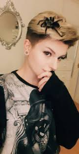 What does a lizard squeaking in the house mean?