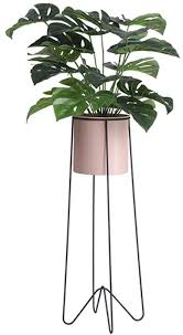 Shop our best selection of decorative indoor plant stands to reflect your style and inspire your home. Plant Stand Flower Stand Wrought Iron Flower Stand Indoor Living Room Balcony Floor Standing Flower Stand
