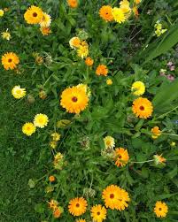 Pin On Testen Und Bloggen Produkttests