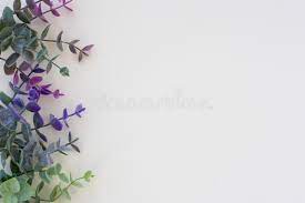 Check spelling or type a new query. Minimalist Plant Background Differents Green Branches Is Lying On A Beige Background Flat Lay Modern Minimalistic Mockup With E Stock Photo Image Of Minimalistic Background 112095598