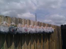 Check spelling or type a new query. Frugal Gardening Milk Jug Herb Garden Frugal Gardening Milk Jugs Garden Outdoor Herb Garden