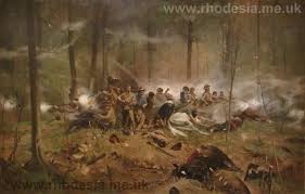 Image result for Sorindeia rhodesica