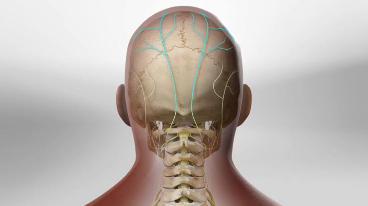 Occipital Nerve Block
