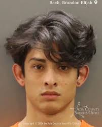 Brandon Bach booked for Battery-Domestic Violence with Traumatic Injury