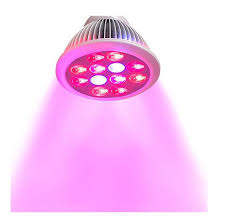 12w Grow Led Light Bulbs Horticultural For Growing Plants Red660nm Blue460nm Par 38 Led Grow Light Bulb Led Grow Light Bulb Grow Light Bulbled Grow Aliexpress