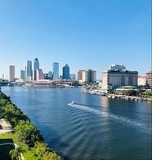 The tampa sports card show, 3. Tampa Florida Wikipedia