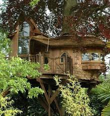 Para los que sufren el estrés de la ciudad, las cabañas son paraísos rústicos y remotos. 35 Casas En Arboles Espectaculares Imagenes En Taringa