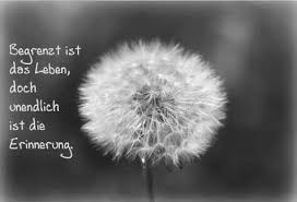 Trauer Sprueche Spruche Trauer Trauerspruche Beileid Spruche