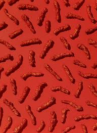 We did not find results for: What S Inside Flamin Hot Cheetos Probably Something Spicy Cheetos Flamin Hot Cheetos Aesthetic Wallpaper Hot