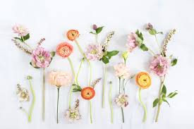 Related Image Floral Wallpaper Desktop Flower Desktop Wallpaper Computer Wallpaper Desktop Wallpapers