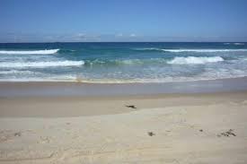 We did not find results for: Waspadai Boleran Atau Rip Current Arus Tenang Di Pantai Yang Mematikan Halaman All Kompas Com