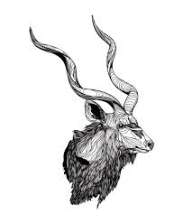 Kudu On Behance Tribal Drawings Kudu Snapback And Tattoos