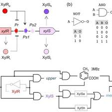 The total amount is based on the distance that a vehicle or a vehicle combination travels on a road subject to toll and a toll rate in cents per kilometre, which includes a share each for air pollution, noise pollution and infrastructure costs. Formalization The Tol Network As A Logic Circuit A Interplay Between Download Scientific Diagram