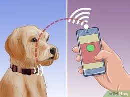 Additionally, the pet microchip lookup tool will attempt to determine the microchip distributor or microchip manufacturer if no microchip registration can be found. 3 Ways To Track A Pet With A Microchip Wikihow Pet