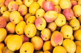 How to clean a mango Mad For Mangoes Plant These Trees And Enjoy Them All Year Sarasota Magazine