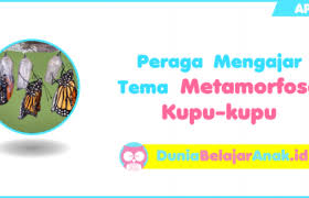 We did not find results for: Artikel Archives Dunia Belajar Anak