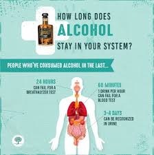 How Long Does Alcohol Stay In Your System Urine Blood