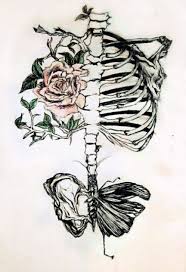Drawing Tumblr Hipster Grunge 46 Ideas Anatomy Art Hipster Art Grunge Art