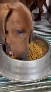 @DMTDRSG's video Tweet