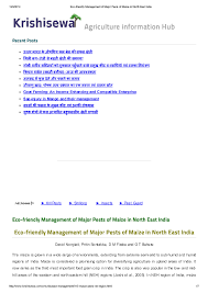 Besides, there are nearly one dozen more pests, which occur sporadically the losses caused by insect pests in maize crop ranges from 5% to 15%. Pdf Ecofriendly Management Of Major Pests Of Maize In North East India Pritin Jain Academia Edu
