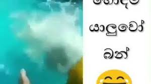 We did not find results for: à·„ à¶¯à¶¸ à¶º à¶½ à·€ Youtube