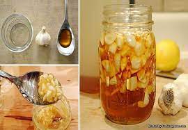 Khasiat madu dan bawang putih. 4 Kebaikan Makan Bawang Putih Dan Madu Setiap Hari Sentiasa Panas