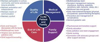 Medicare defines four distinct levels of hospice care. A Palliative Care Framework For Cln2 Disease Management Facilitates Download Scientific Diagram