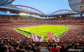 The best collection of sports wallpapers for your desktop and phone devices. Benficamuseumathome Sl Benfica