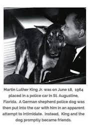 Pin By Tracy On African American History In 2020 Dogs German Shepherd German Shepherd Dogs