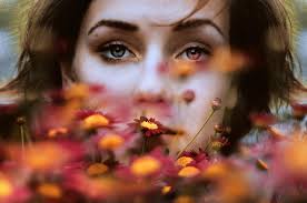 beth.oscar's favorites