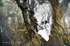 Wedding Outdoor Photoshoot Mossy Forest Cameron Highland Malaysia Outdoor Photoshoot Cameron Highlands Photoshoot