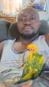 Baba's Aquatics Plus JA (Handfeeding Medz) Tame and Train