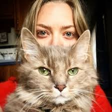 Why Your Cat Is Waiting for You by the Door When You Come Home