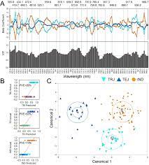 Pour faire face au virus et limiter l'introduction de ses variants, des mesures de contrôle aux frontières sont temporairement nécessaires, à l'entrée comme à la sortie. Vis Nir Hyperspectral Imaging Distinguishes Sub Population Production Environment And Physicochemical Grain Properties In Rice Scientific Reports